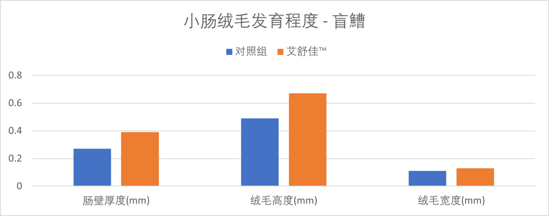 加州鱸魚養(yǎng)殖